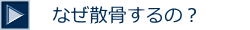 なぜ散骨するの？