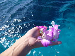 ���ԁ@�Ԃт�