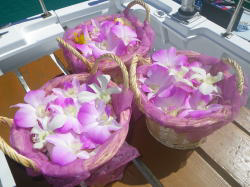 ���ԁ@�Ԃт�