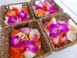 ���ԁ@�Ԃт�