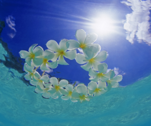 �v�������A