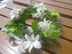 ���ԁ@�ԗ�