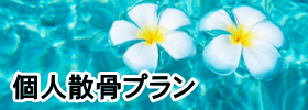 個人散骨プラン